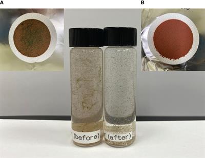 Estimating total microplastic loads to the marine environment as a result of ship biofouling in-water cleaning